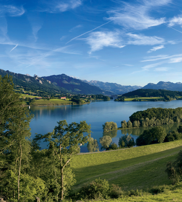 Vue du lac de la Gruyère