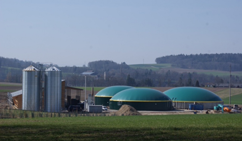 Biomasse, l'énergie de la nature