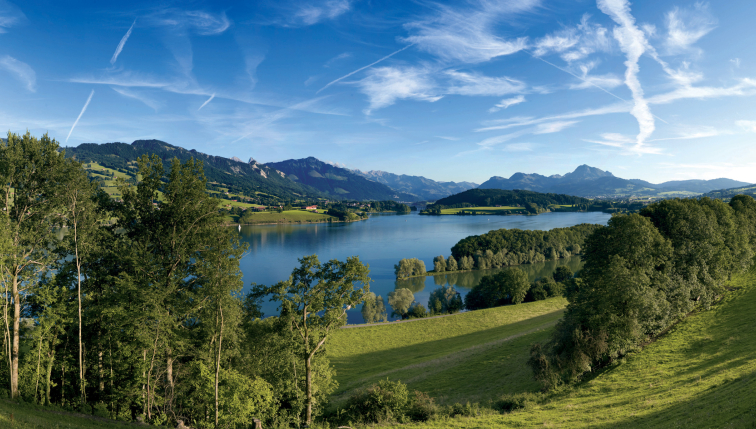 Wasserstand Greyerzersee