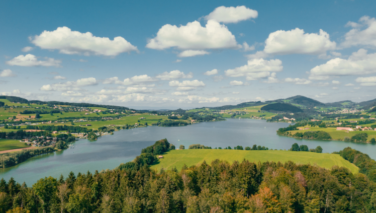 Lac de la Gruyère