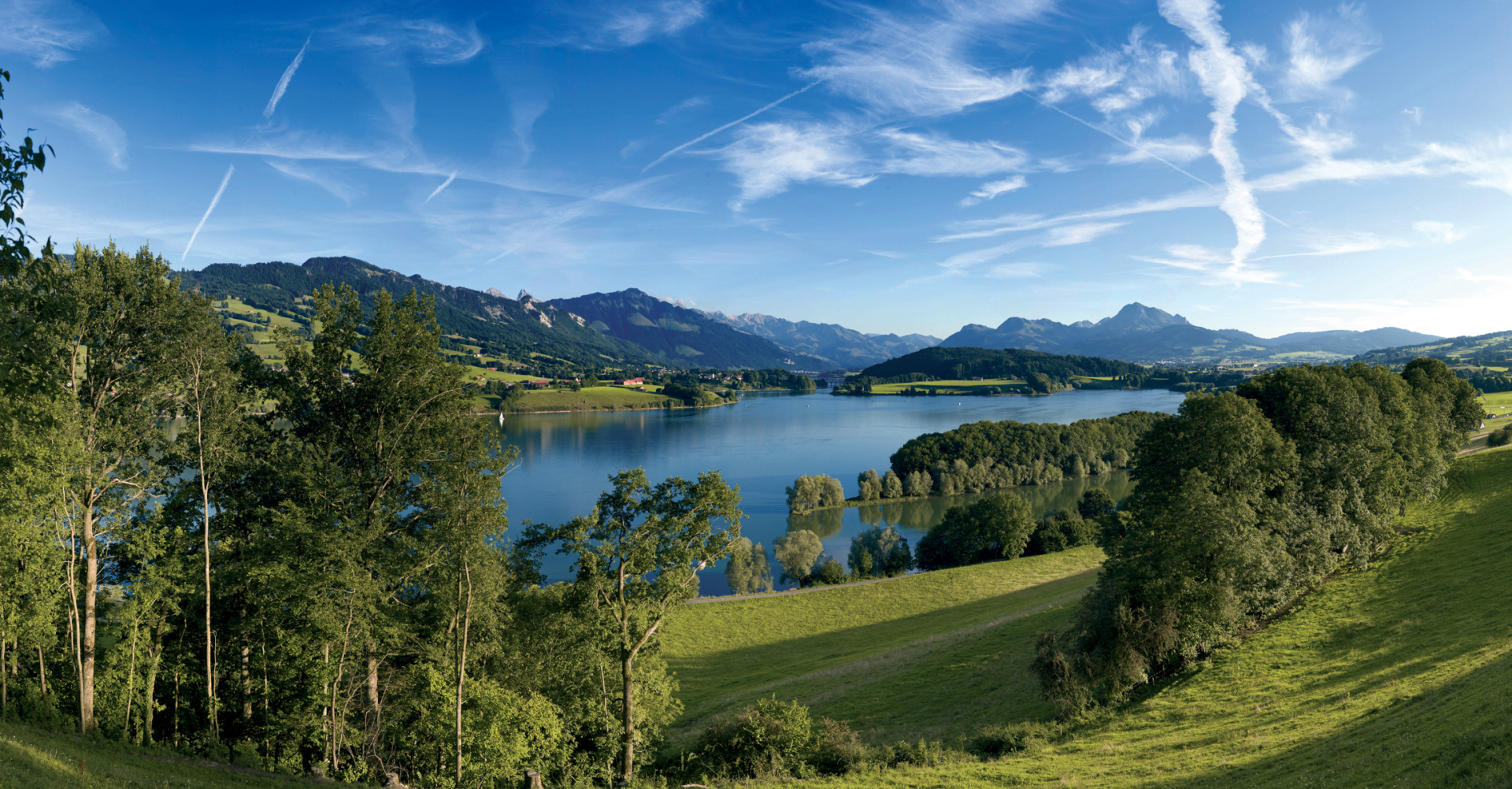 Blick auf den Greyerzersee