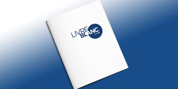 livre blanc groupe e